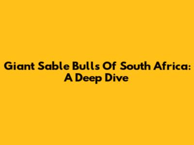 Giant Sable Bulls Of South Africa: A Deep Dive