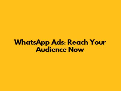 WhatsApp Ads: Reach Your Audience Now